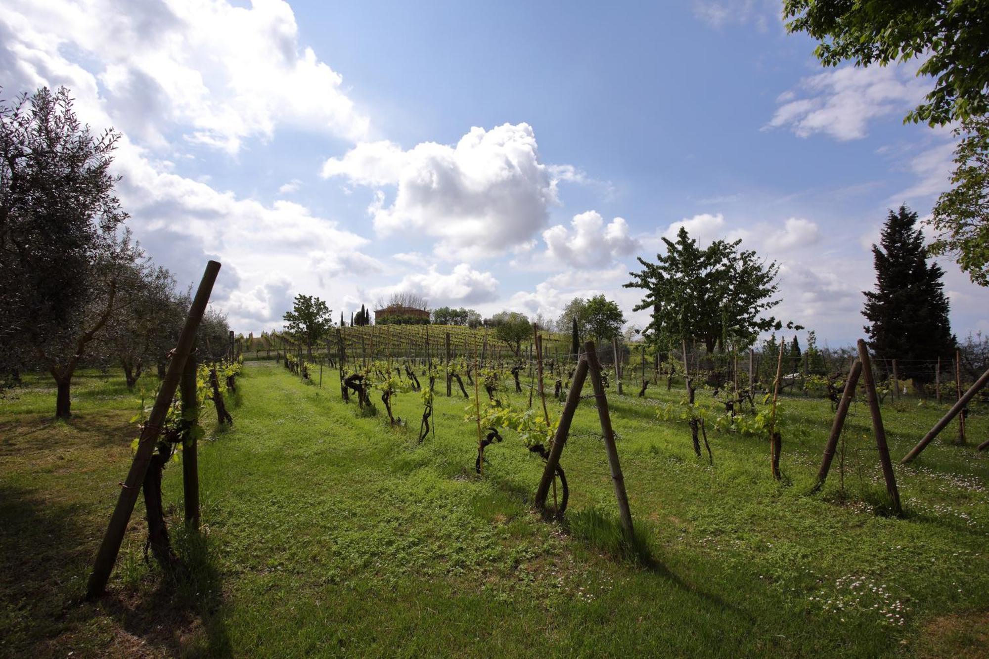 Podere Biagio Valiano Exterior photo
